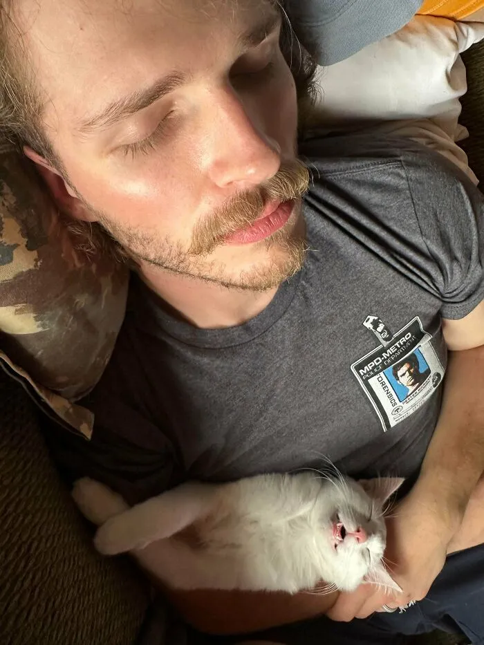 I Got Mad At My Wife For Bringing Home A Kitten. He’s My Son Now