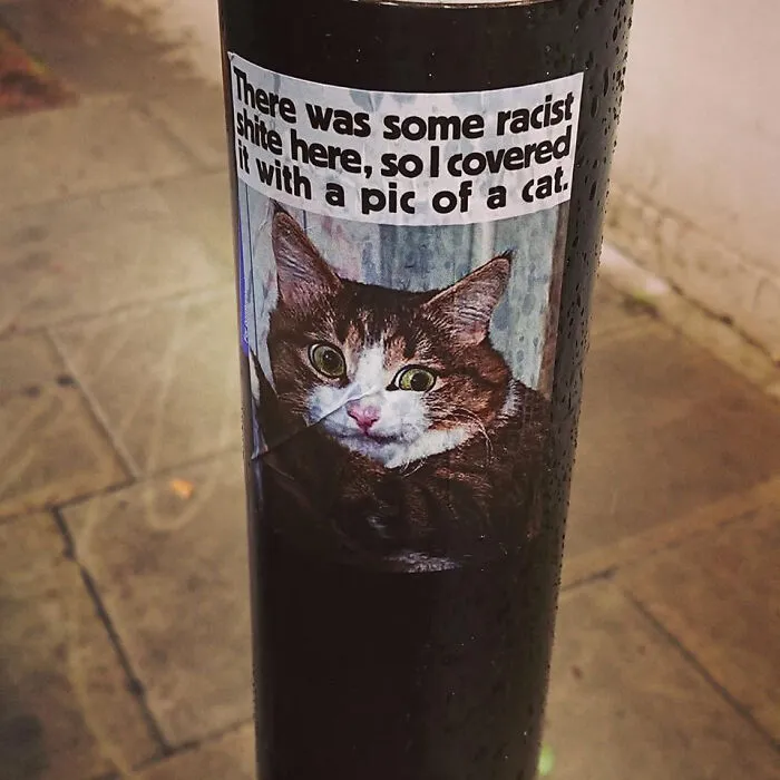 The Best Vandalism