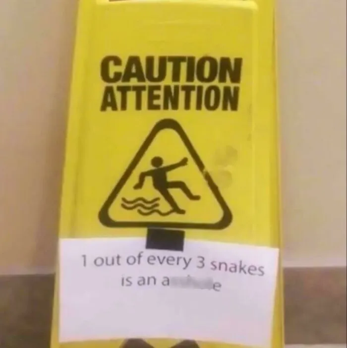 Darn Snakes