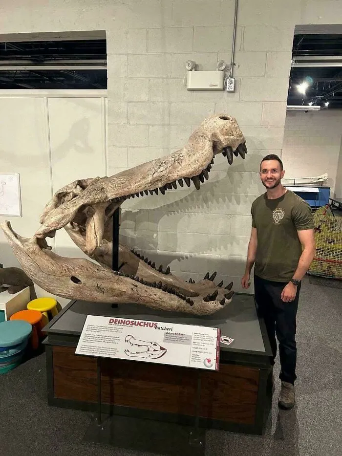 The Skull Of A Deinosuchus, Which As A Genus Are The Front-Runner To Be The Largest Known Crocodilian Of All Time