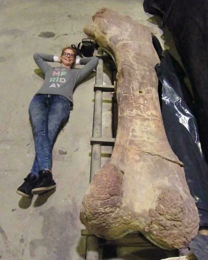 The Femur Of A Patagotitan, One Of The Biggest Dinosaurs Known To Have Existed, Next To A 1.75 M Tall Paleontologist