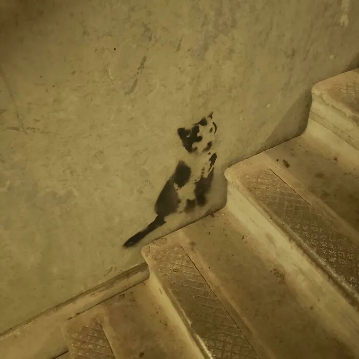 Some Pretty Cute Spray Paint In The Stairwell Of My Parking Tower On Campus
