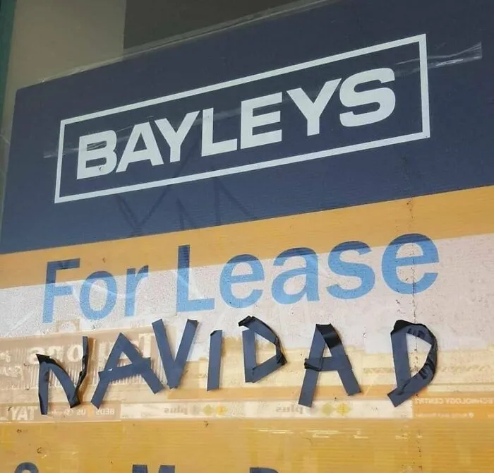 New Zealand Getting Into The Festive Spirit