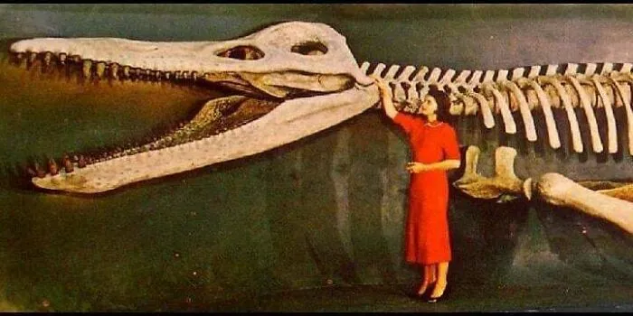 Constance Kite, A Fossil Preparator At Harvard Seen 60 Years Apart With The Kronosaurus She Helped Put Together; This Specimen Was Est At 34 Feet, Over 15 Tons