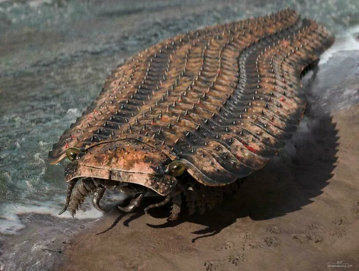 Arthropleura, The Largest Known Arthropod To Ever Exist At An Estimated 2.5 Metres Long, Walks Slowly Along An Ancient Carboniferous Coastline Looking For Food (Render By Prehistorica_cm)