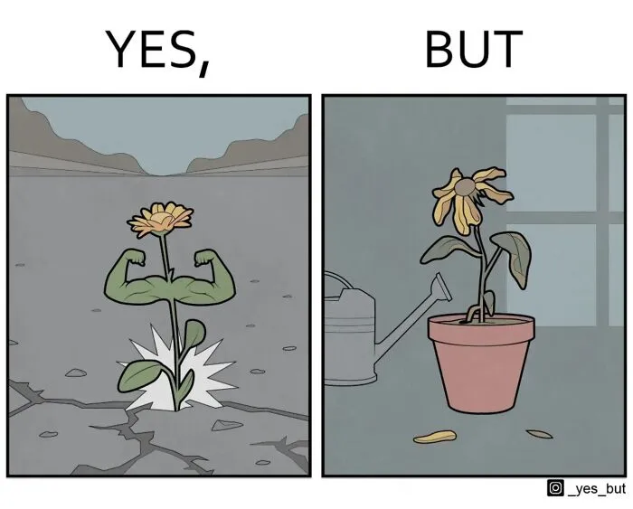 25 Times This Artist Brilliantly Highlighted Society’s Double Standards (New Pics)