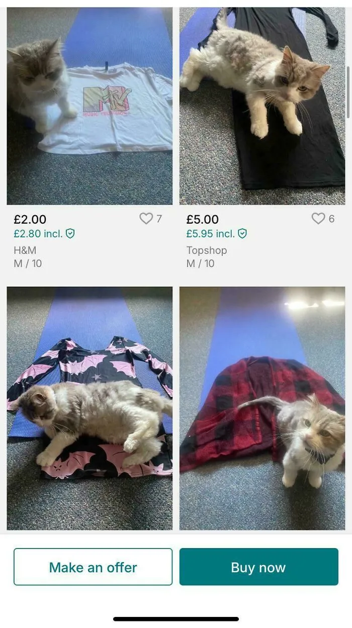 Four Vinted posts showing cats lying on clothes in a humorous example of unhinged online selling.