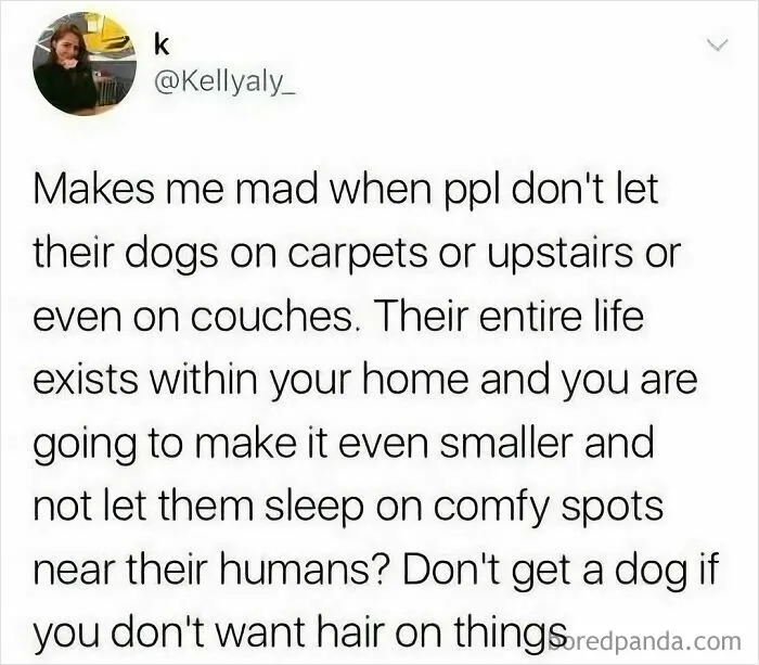 50 Hilariously Relatable Memes For Anyone Who Could Use Some Laughter Today (New Pics)