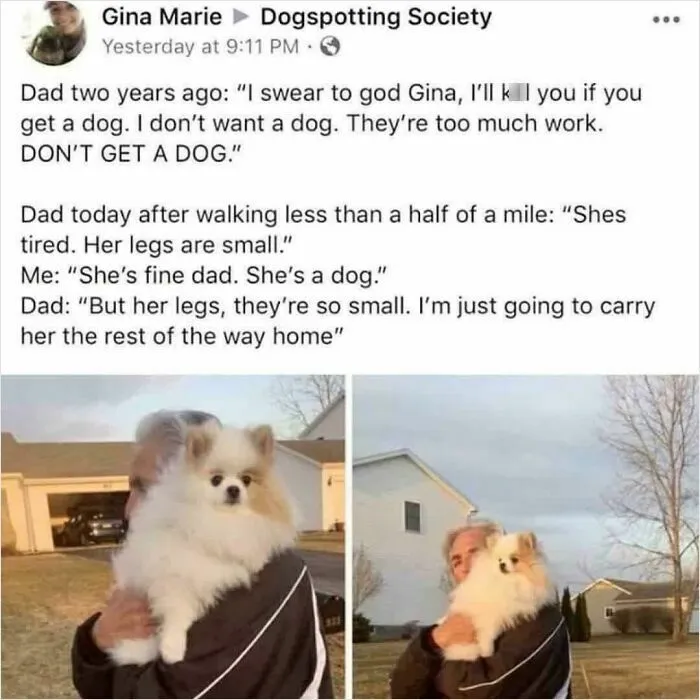 I Saw This Online, I Hope It’s Not A Repost