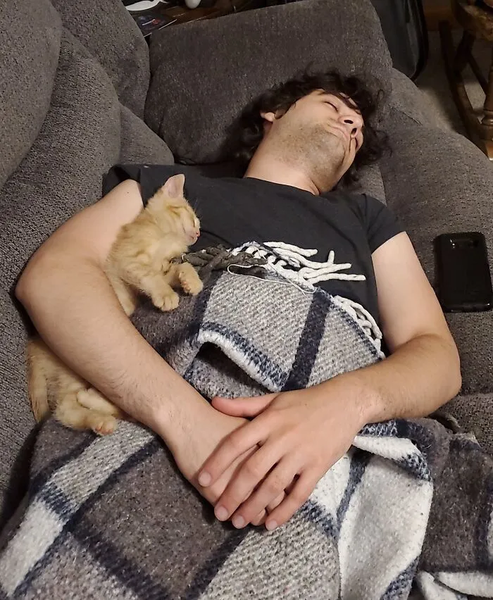 Boyfriend Didn't Want A Kitten. He Relented During Quarantine Because He Was An Essential Worker And I Was Alone By Myself Most Days. Now They're Cuddle Buddies