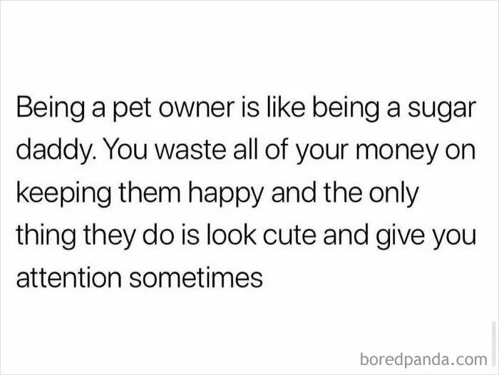 50 Hilariously Relatable Memes For Anyone Who Could Use Some Laughter Today (New Pics)