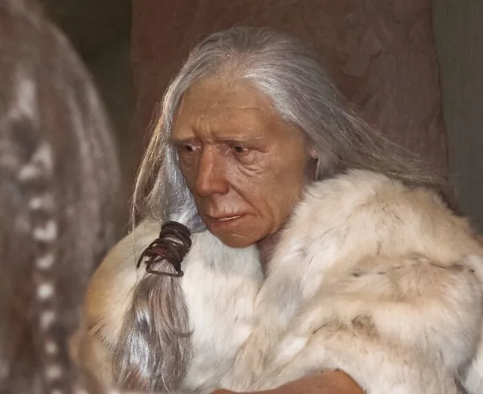Neanderthals Were The Only Other Human Species To Exist Alongside Homo Sapiens