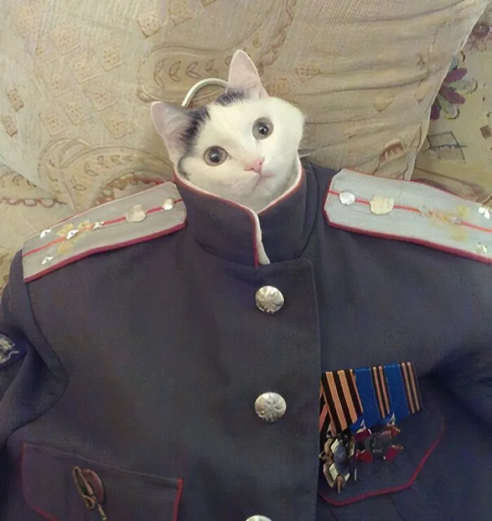 Oficial de uniforme