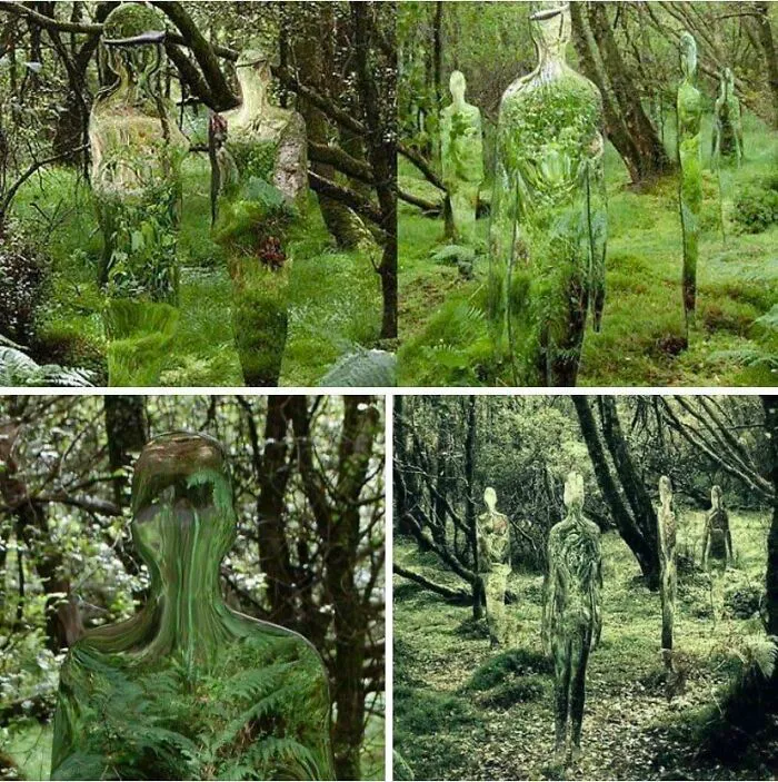 Esculturas de espejos reflejan el bosque, del artista escocés Rob Mulholland