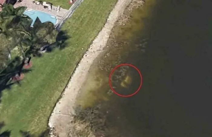En 2019, un hombre que usaba Google Earth para explorar su antiguo vecindario en Florida descubrió los restos de un hombre desaparecido hacía 22 años. Las imágenes satelitales revelaron el auto del hombre sumergido en las aguas poco profundas de un lago. Los restos óseos pertenecían a William Mold, quien desapareció en 1997 tras salir de un club nocturno.