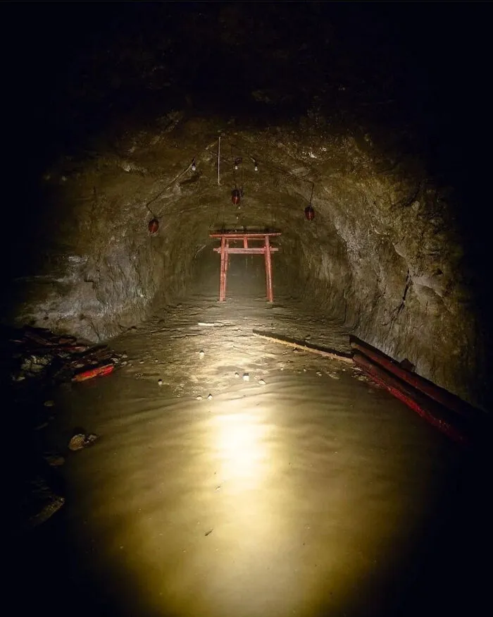 Las puertas torii se encuentran típicamente en la entrada de los santuarios sintoístas. Marcan la transición de lo mundano a lo sagrado, simbolizando el límite entre el mundo humano y el reino de los kami (espíritus o deidades). Esta se encuentra al final de un túnel sumergido en Japón