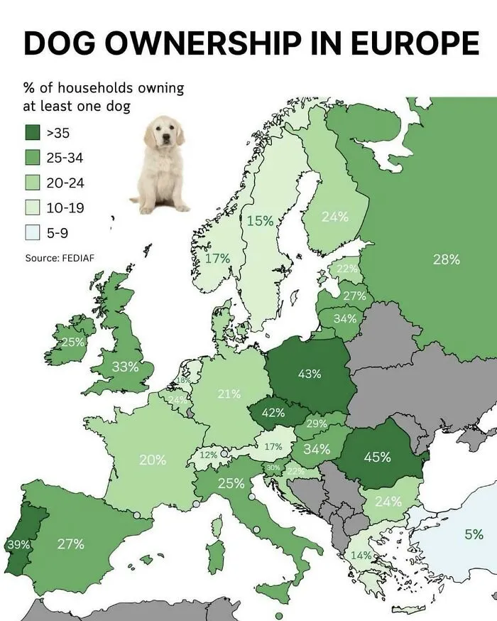 Map of dog ownership percentages across European households shown with varying shades of green, highlighting informative maps on perspective.