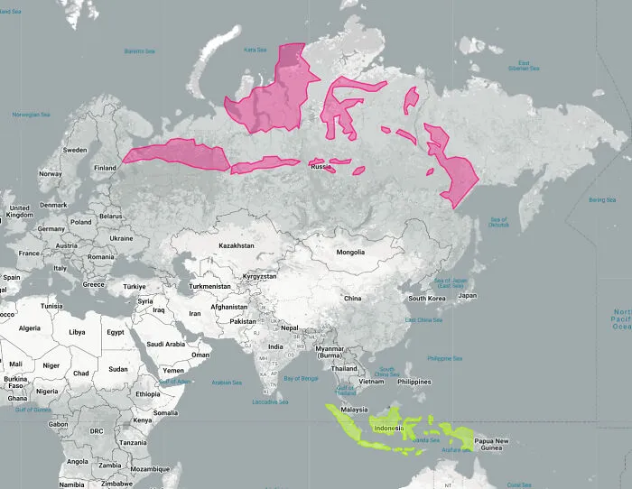 Indonesia Laid Out Over Russia