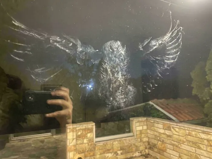 Reflection of a moderately interesting bird-shaped mark on a glass window with outdoor evening scene in the background.