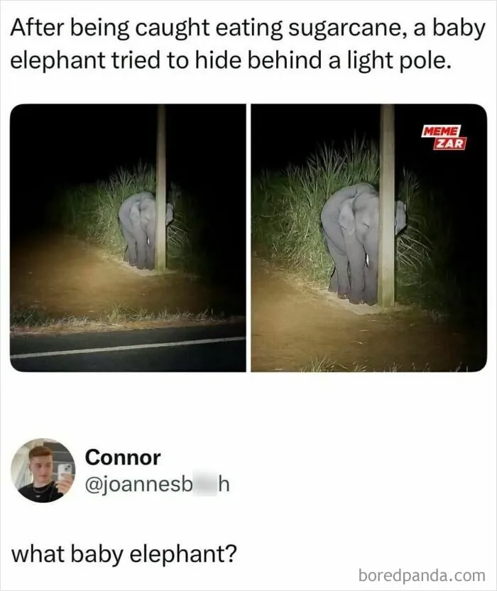 50 Funny Memes That You Might Want To Send To All Your Friends