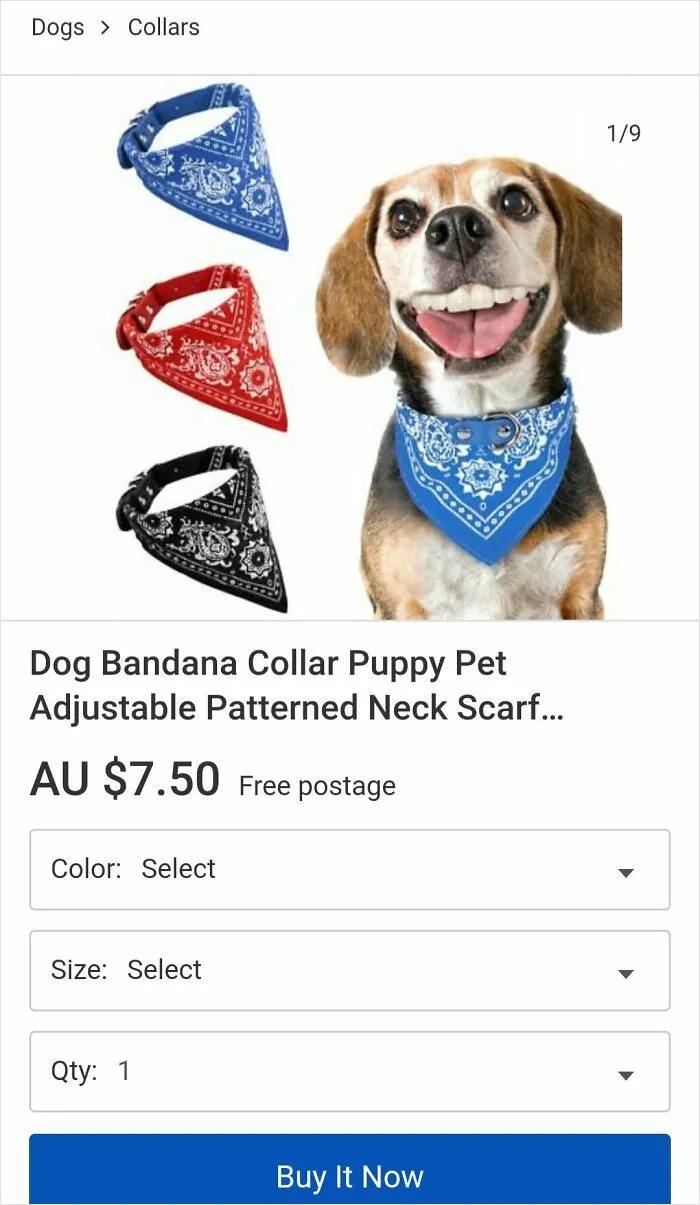 Qué le pasa al pobre perro en los dientes