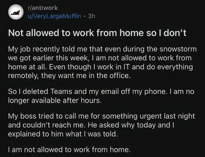 I Wish This Was A True Story