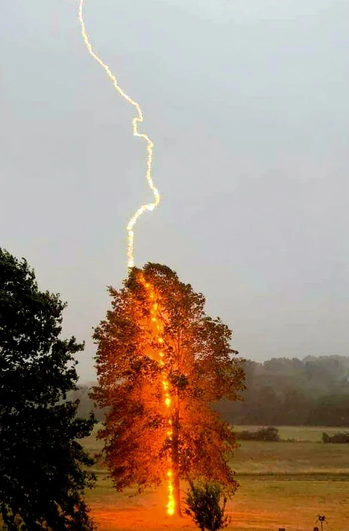 Debbie Parker capturó el momento exacto en que un rayo cayó sobre un árbol en Moorefield, condado de Hardy, Virginia Occidental, el 23 de junio de 2022.