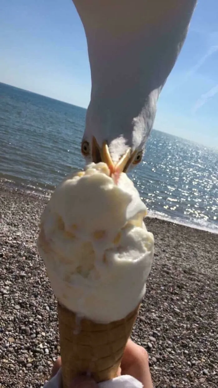 Just A Pic That My Friend Took Down At The Beach The Other Day