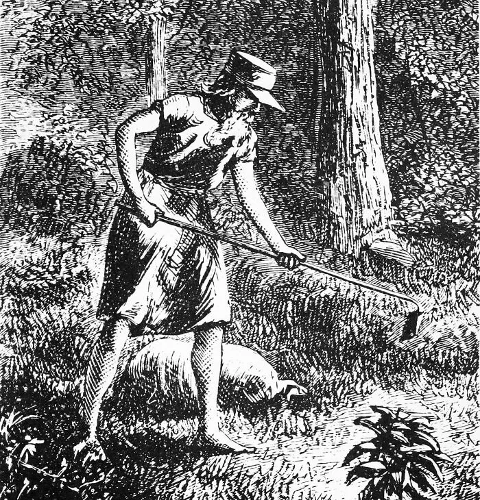 Johnny Appleseed