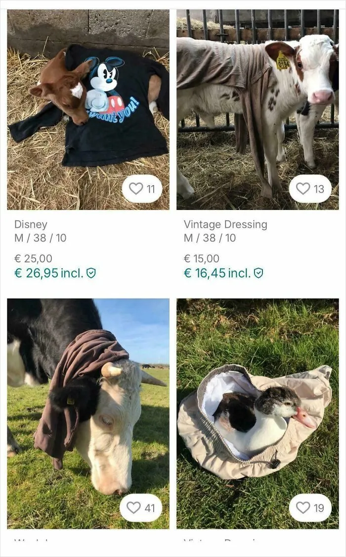I Came Across A Really Interesting Way Of Presenting Clothes And Wanted To Share