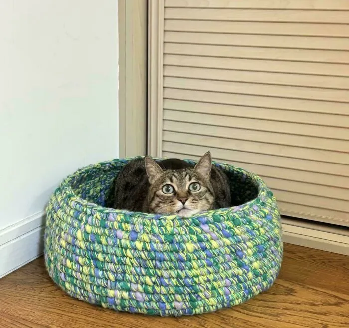 Made A Crochet Cat Nest, Approved By The Boss 🐱🧶🤣
