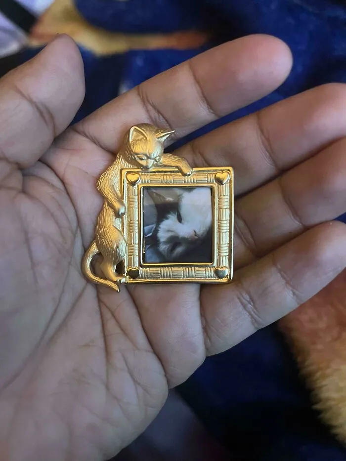 Entré en una tienda de artículos de segunda mano y salí con un broche precioso.