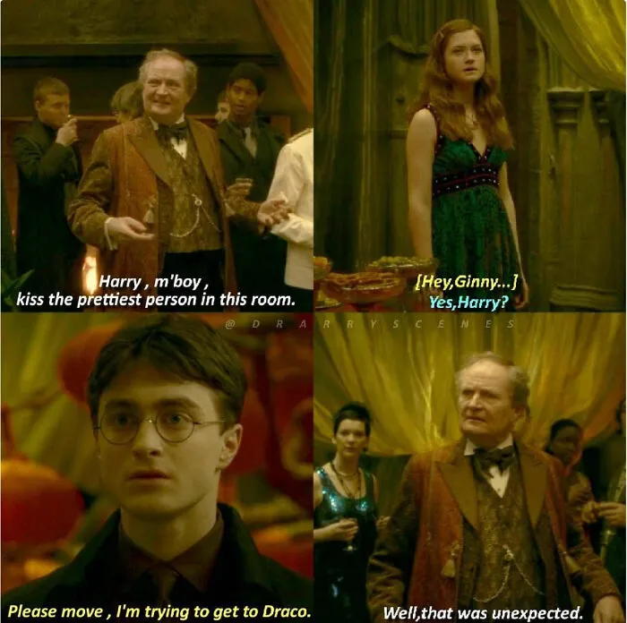 Who Else Thinks Drarry Is Ridiculous?