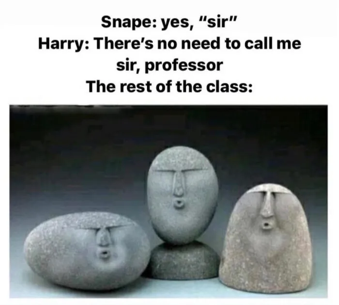 Harry’s Roasts Are So Underrated