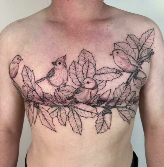 Show Me Your Tits! Bushtit, Wrentit & Titmouse Birds. Scar Cover Up From Top Surgery