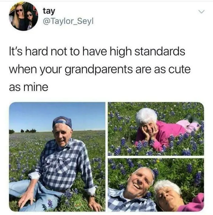 Elderly couple smiling and enjoying a flower field, capturing heartwarming stories and moments of pure joy.