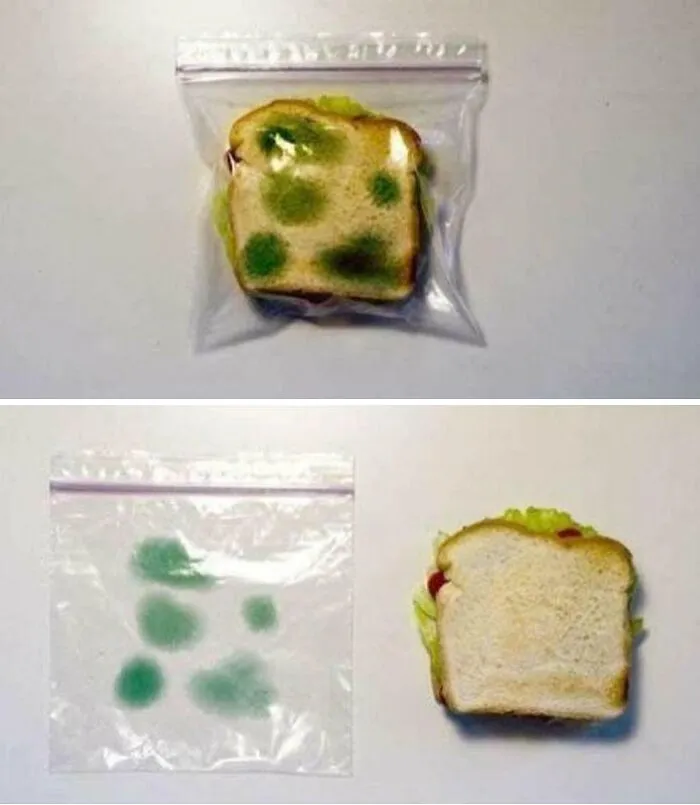 Esta bolsa para sandwiches