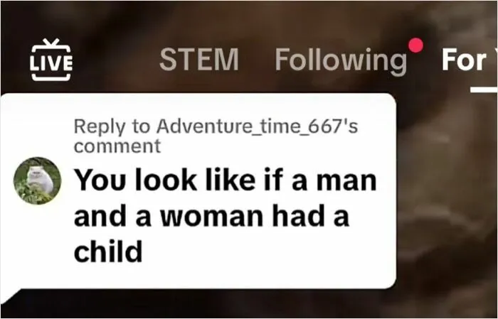 To Insult An Androgynous Person On TikTok