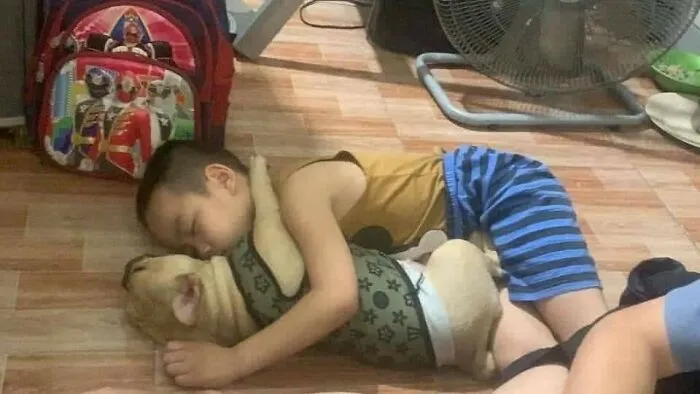 37 Divertidos momentos perrunos que por fortuna fueron captados en cámara