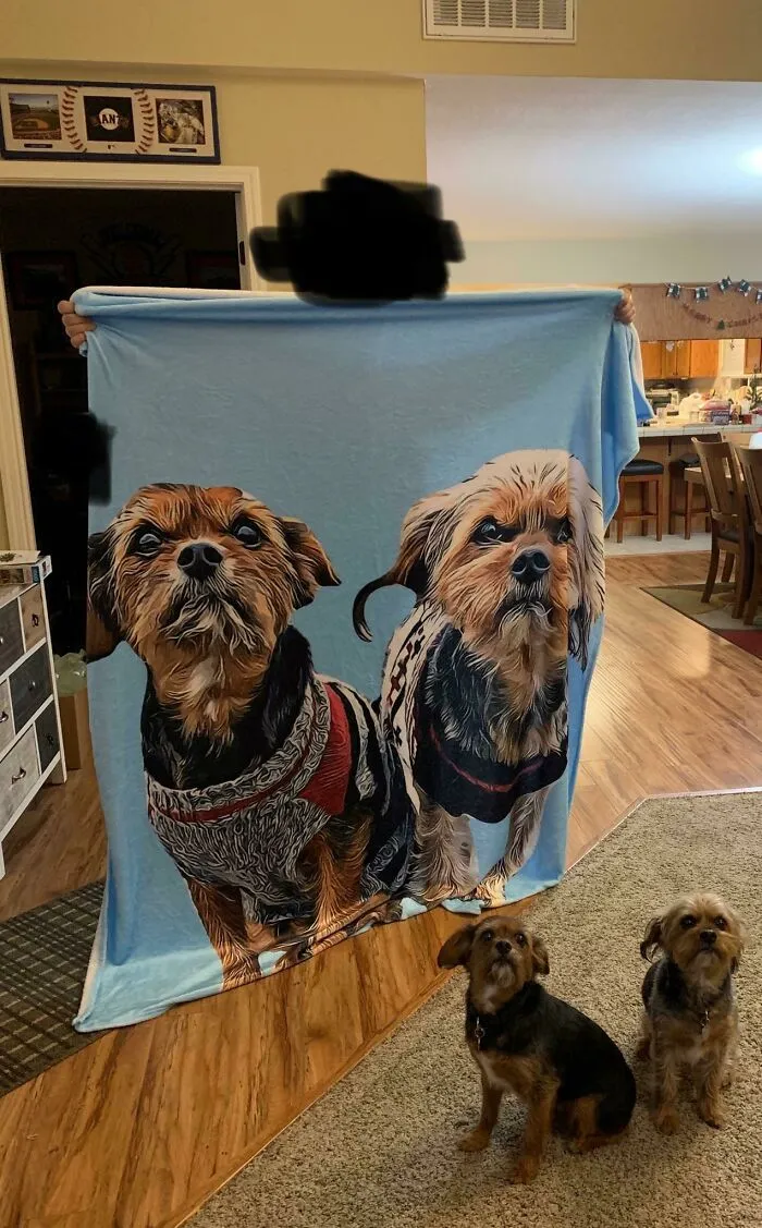 Ordered The Blanket From A Sketchy Seeming Website. They Nailed It!