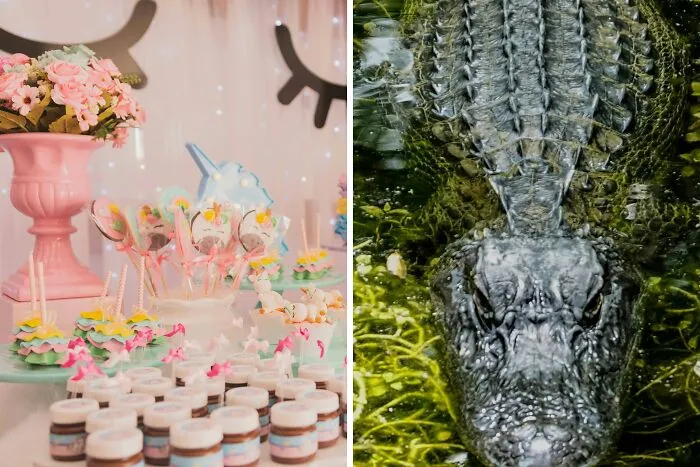Would You Rather Babysit 12 Toddlers Straight After A Birthday Party, All On An Extreme Sugar High Or Hand-Feed An Alligator That’s “Rumored” To Be Docile?