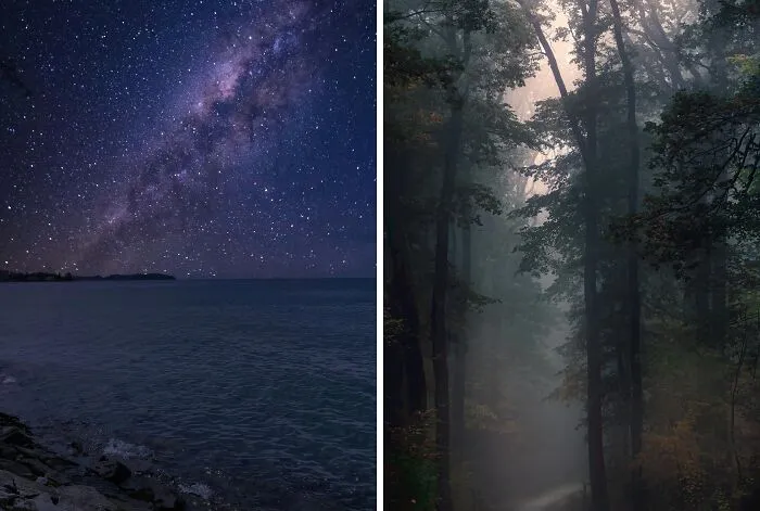 Would You Rather Swim In Deep, Open Water At Night Or Walk Alone Through A Foggy Forest With No Light?