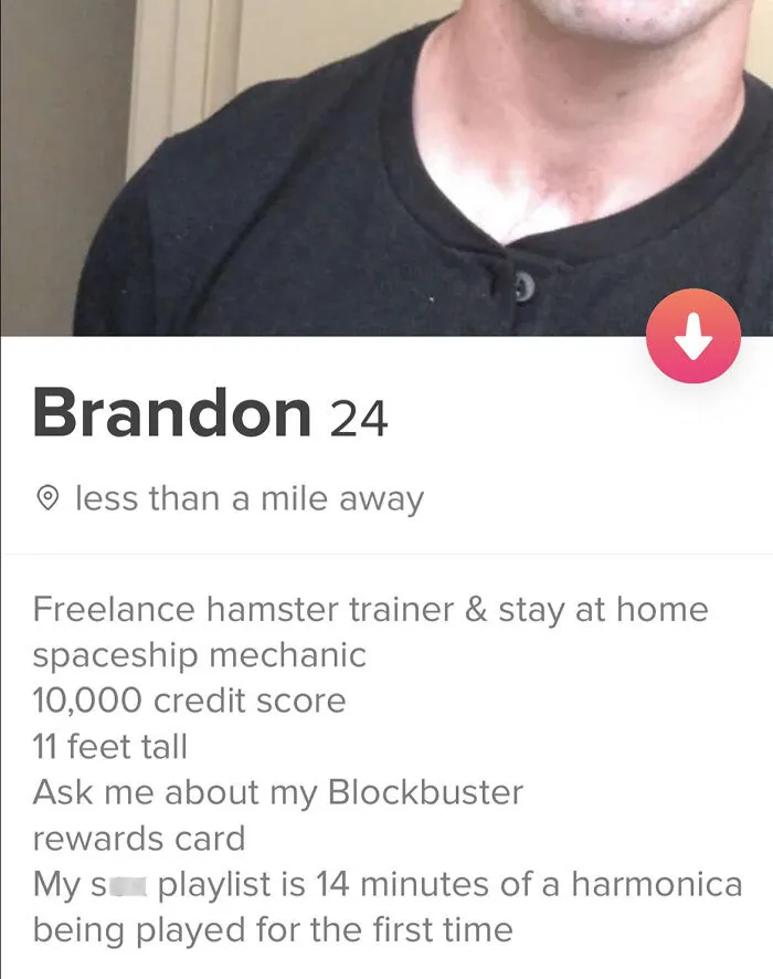 Tinder bio example for guys showing a creative and humorous profile with unique interests and quirky details.