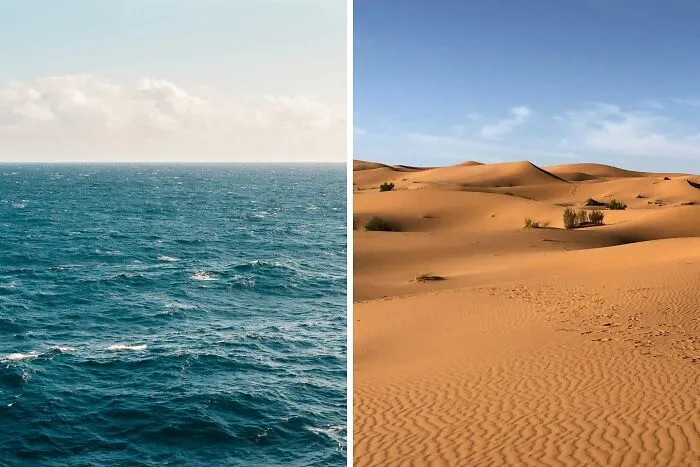 Would You Rather Get Lost At Sea With No Land In Sight Or Get Lost In The Desert With No End In View?