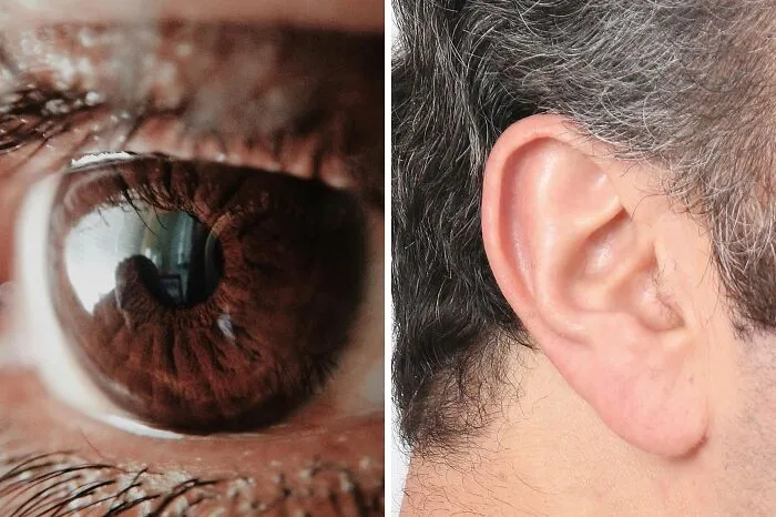 Would You Rather Have Your Vision Completely Taken Away For An Hour Or Have Your Hearing Completely Taken Away For An Hour?