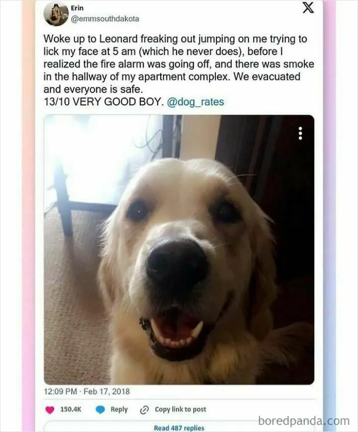 50 Uplifting And Wholesome Posts That Are As Close As It Gets To Anti-Depressants