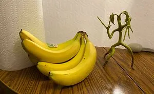 46 Objects People Couldn’t Identify But The Internet Solved Instantly (New Pics)