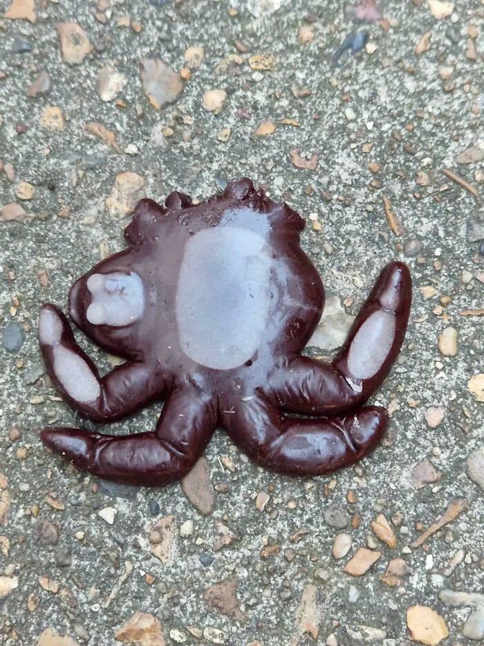 Objeto extraño oscuro con forma de pulpo en superficie rugosa, uno de los objetos que la gente no pudo identificar.