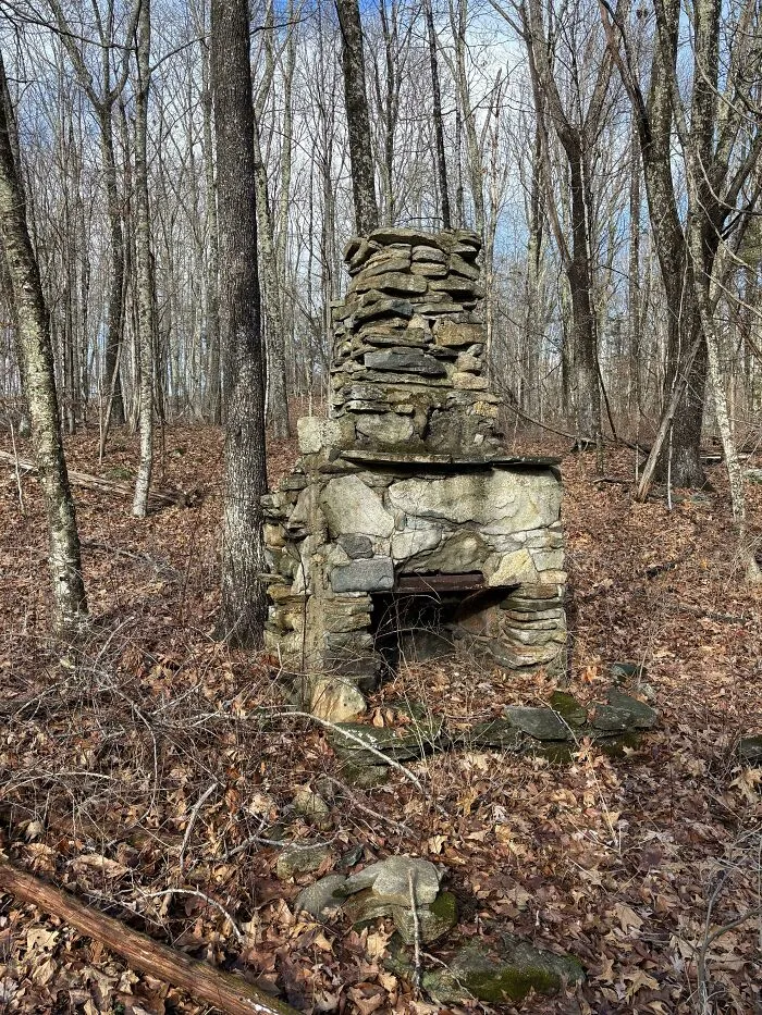 ¿Qué son estas chimeneas y por qué existen en el bosque? (Nueva Inglaterra)
