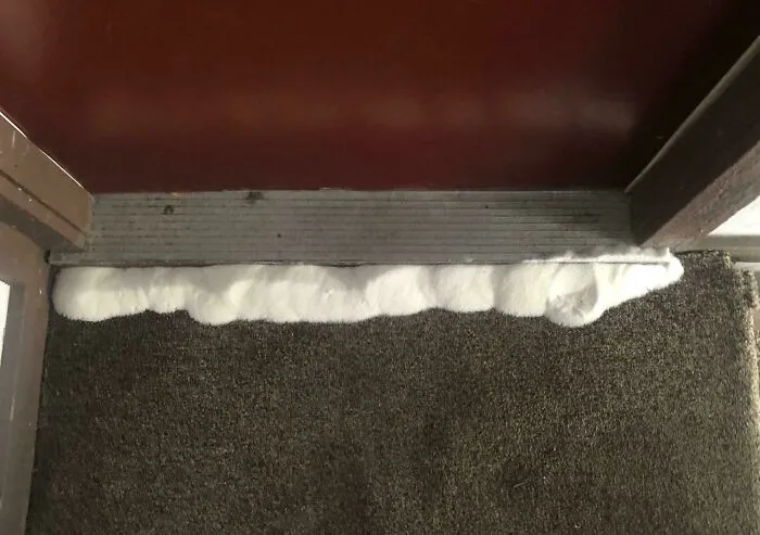 ¿Por qué pusieron sal en mi puerta? No está en la puerta de nadie, solo en la mía.